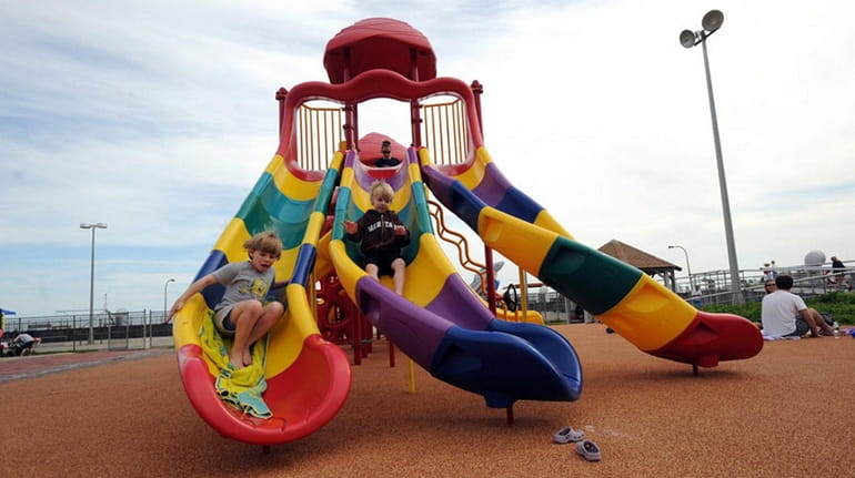 Dog Island Playground System