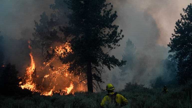 Firefighters watch the Bridge Fire consume a tree in Wrightwood,...