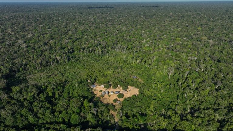 Trees surround Juma Indigenous land, where three sisters lead and...