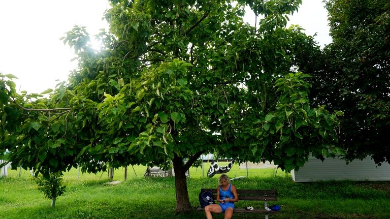 Italy's Valentina Petrillo prepares to train in Pieve di Cento,...