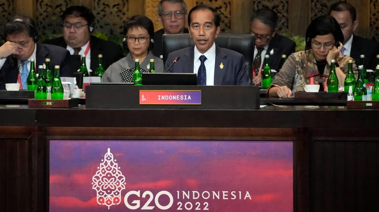 Indonesia President Joko Widodo speaks during the G20 leaders summit...