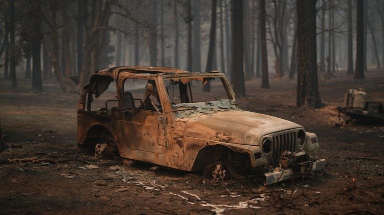 A vehicle and surrounding forest are burned after the Bridge...