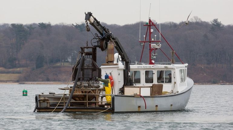 A vessel owned by Frank M. Flower & Sons, a company...