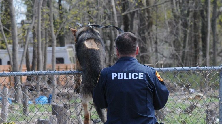 Suffolk County police K-9 unit searches along Brightside Avenue and...