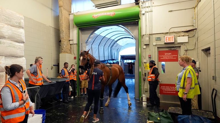 Hailey Burlock, groom for U.S. Olympic Eventing Team member Will...