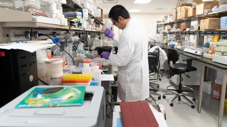 Inside the Cancer Reasearch Lab at Stony Brook University Hospital...