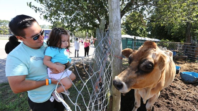 See farm animals at the Hallockville Museum Farm in Riverhead.