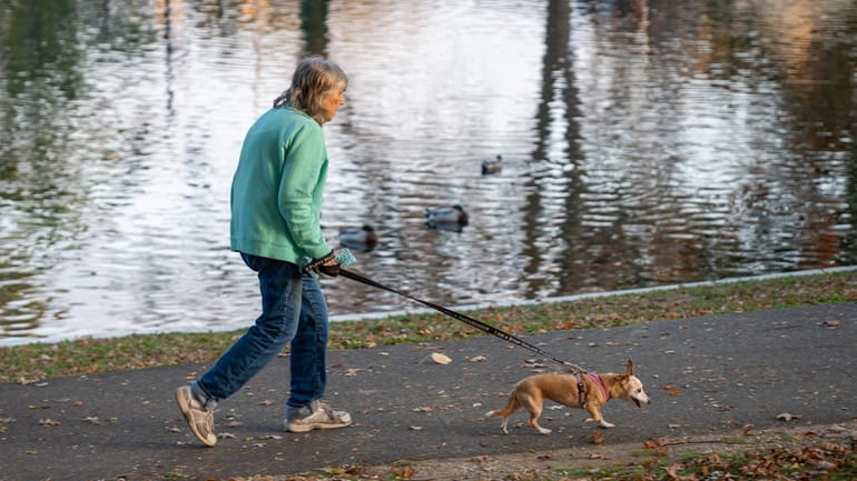 Locals enjoy the outdoors at Halls Pond Park in West...