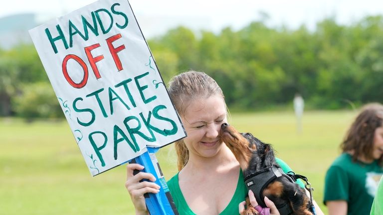 Bonnie, a seven-month-old dachshund, licks Alexandra Maxwell's face as they...