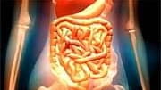 There's been research to suggest that changes in 'good' intestinal...