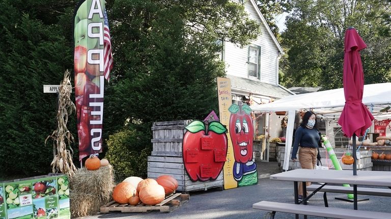 Visitors can buy apples and apple cider donuts at Jericho...