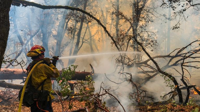 A firefighter sprays water on the Park Fire burning near...