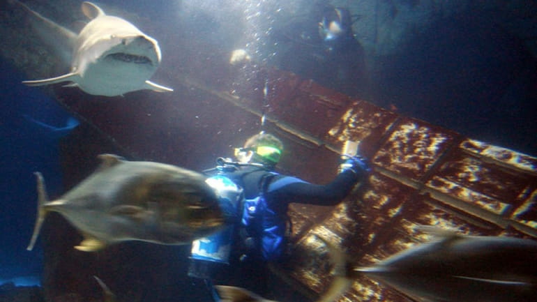 Inside the Shark Tank