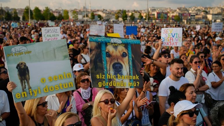 People march during a protest against a bill approved by...