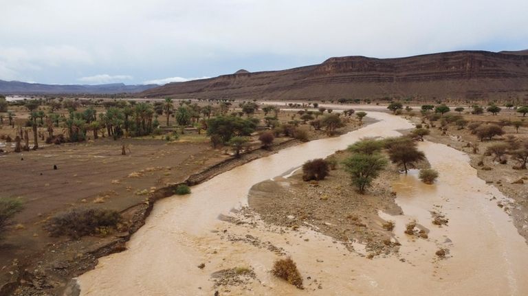 A desert oasis is flooded due to heavy rainfall in...