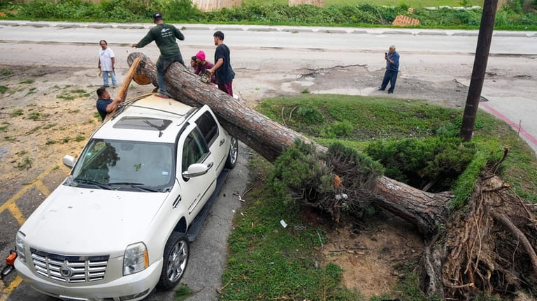 Tree service crews climb atop an SUV to cut apart...