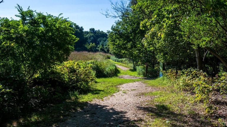 The Avalon Nature Preserve, which reopened Tuesday after being closed due...