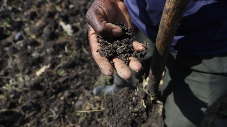 Benson Wanjala sifts through a sample of soil at his...