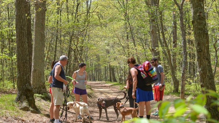 Blydenburgh County Park has a trail that leads from the...