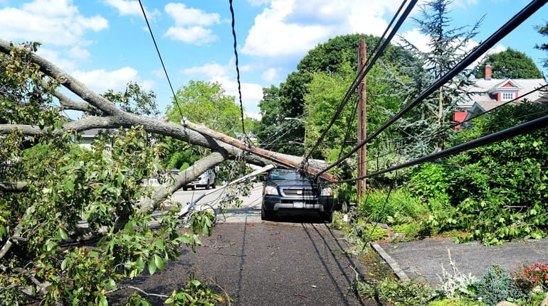 A fallen tree snapped a utility pole, took down wires,...