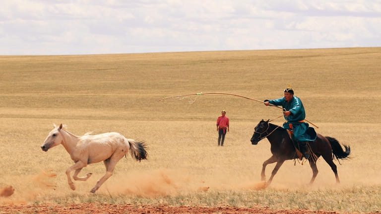 A herder tracks a horse on an open plain in...