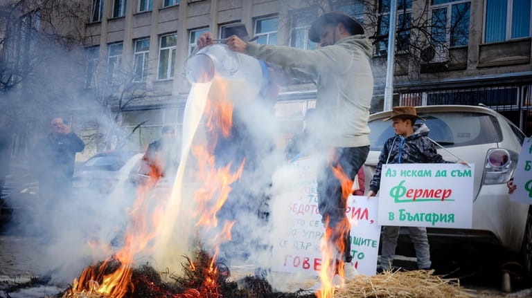 Bulgarian farmers family pour milk on burning hay during farmers...