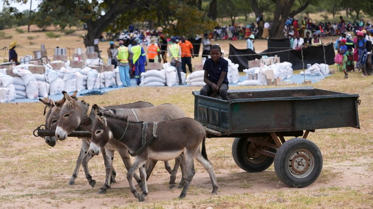 A young boy with a donkey cart arrives to receive...