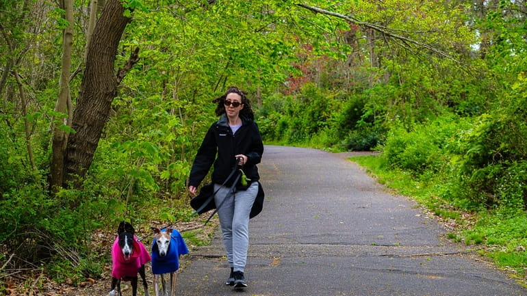 Marianne Rice, of Massapequa, walks with her dogs along the...